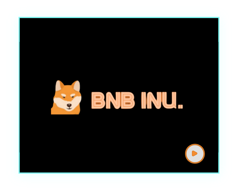 BNB INU.